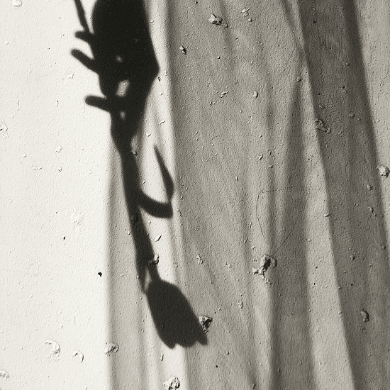 Where Your Healing Finds You & Begins